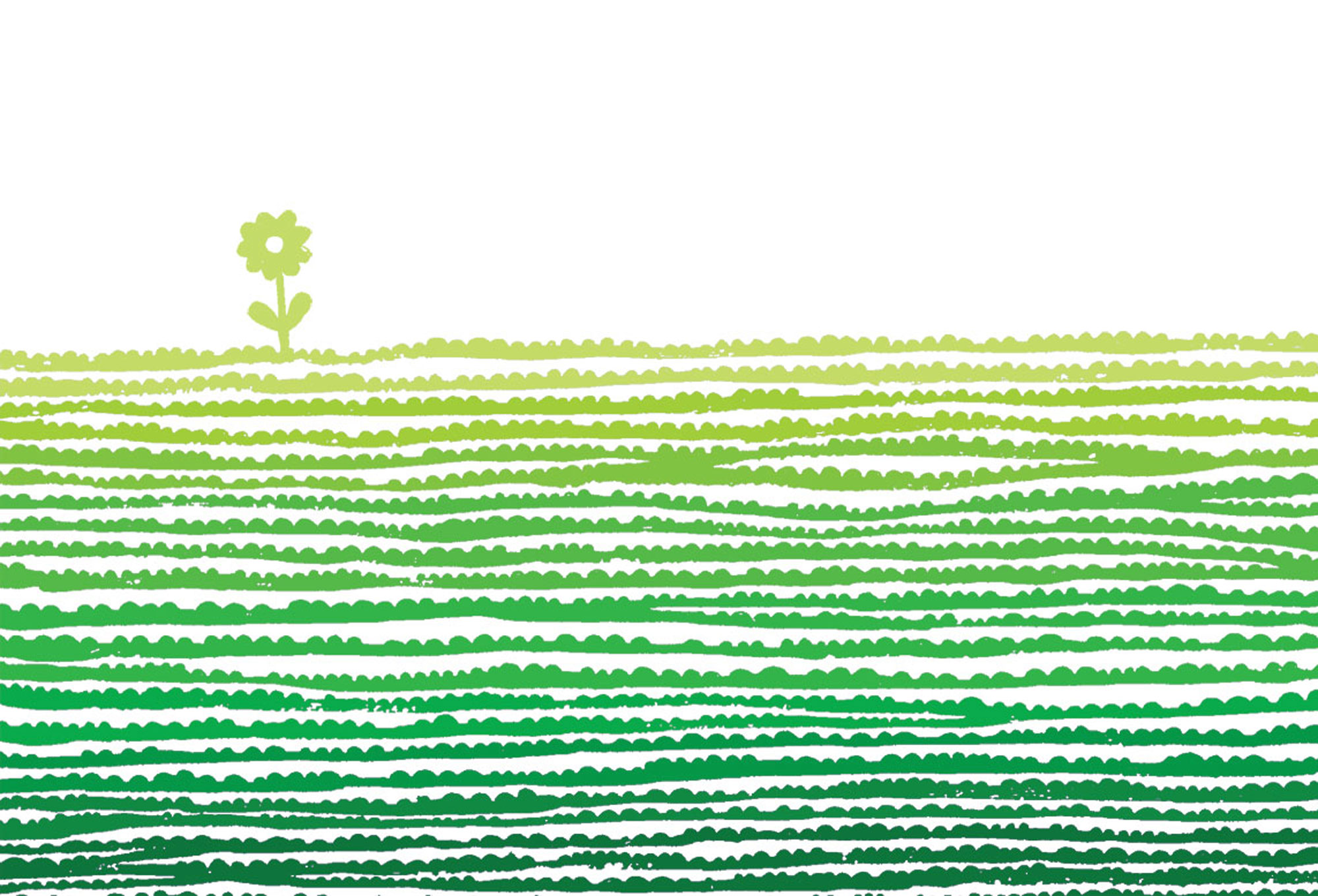 WEBSITEDr Sofia Manolesou